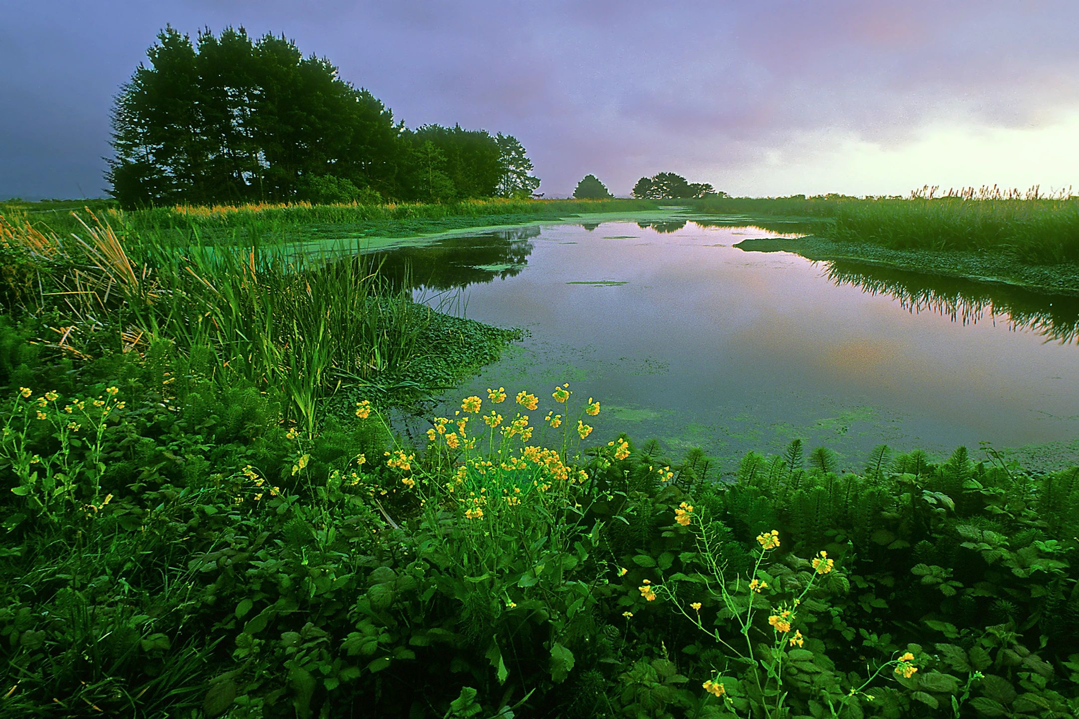 Great Lakes Drainage Products