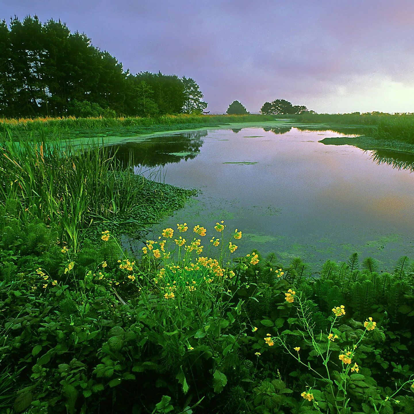 Great Lakes Drainage Products